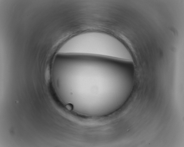 X0000114570020200910191043