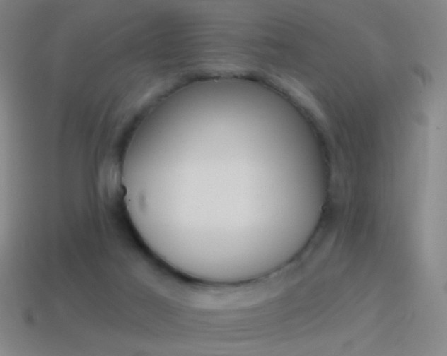 X0000114570021200910191043