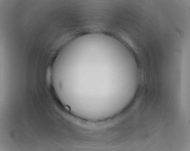 X0000114570022200910191043