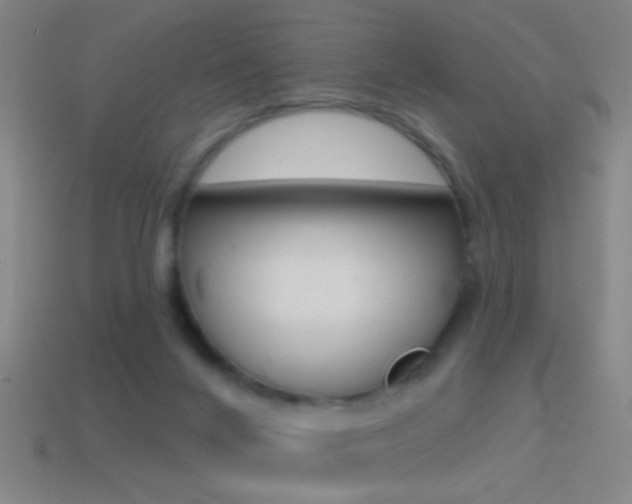 X0000114570024200910191043
