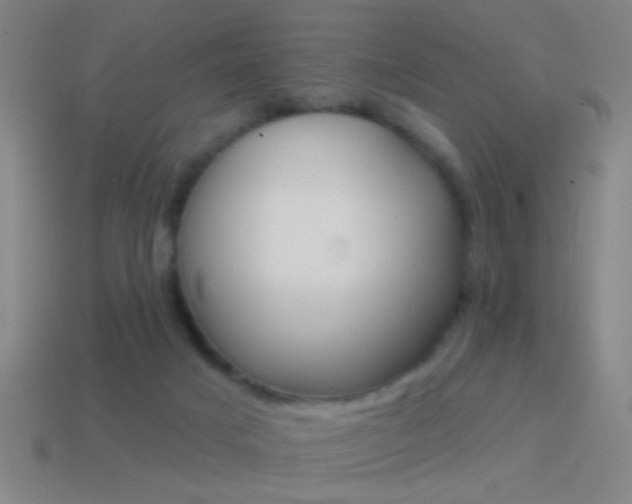 X0000114570025200910191043