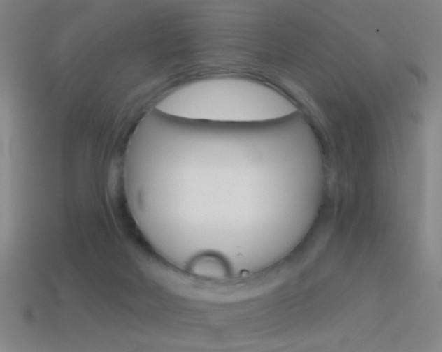 X0000114570026200910191043