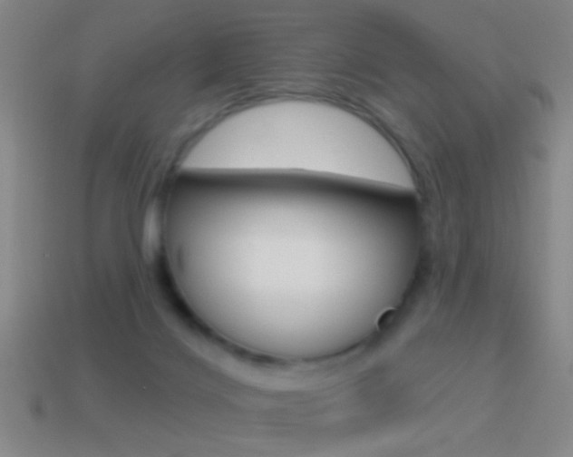 X0000114570028200910191043
