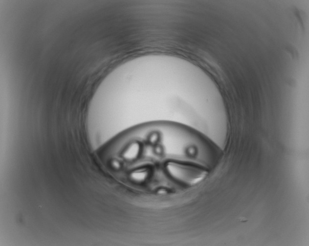X0000114570029200910191043