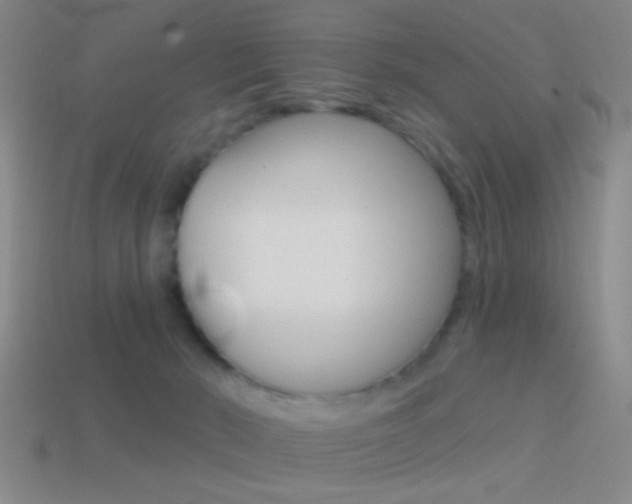 X0000114570030200910191043