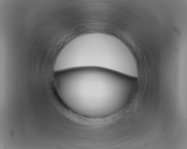 X0000114570031200910191043
