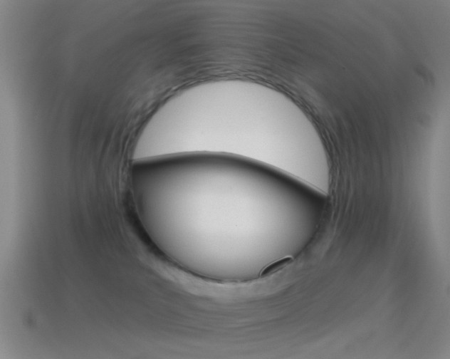 X0000114570039200910191043