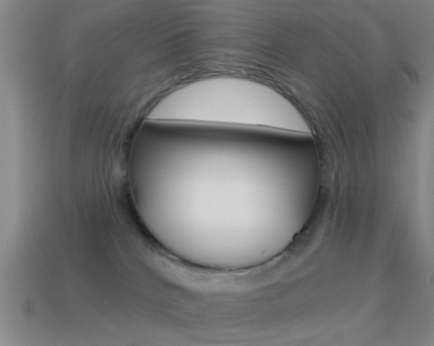 X0000114570040200910191043