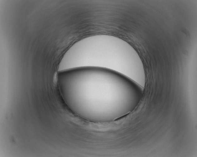 X0000114570041200910191043