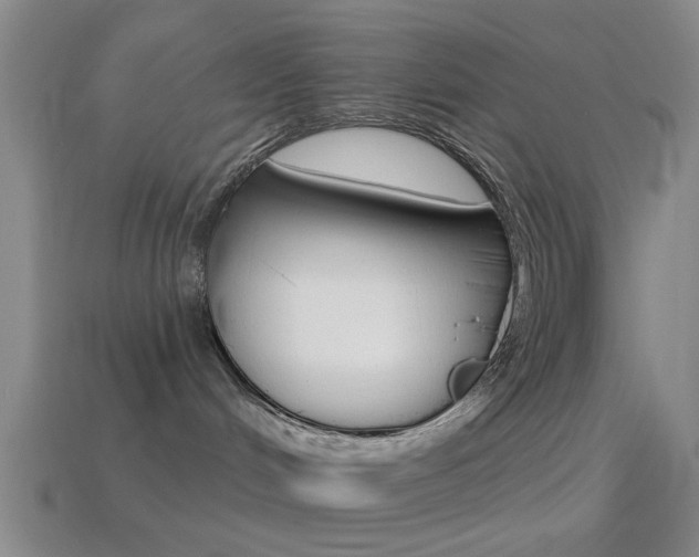 X0000114570048200910191043
