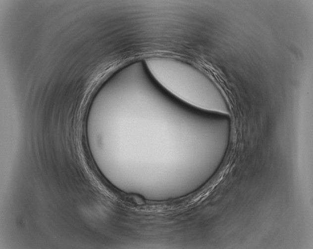 X0000114570049200910191042