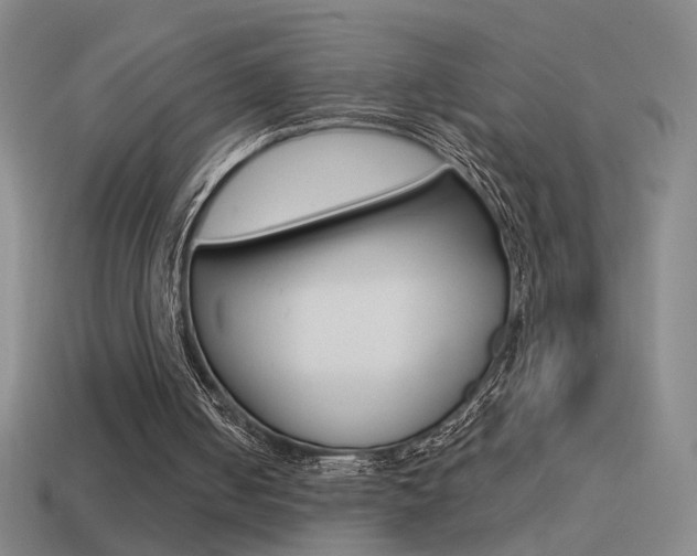 X0000114570050200910191042