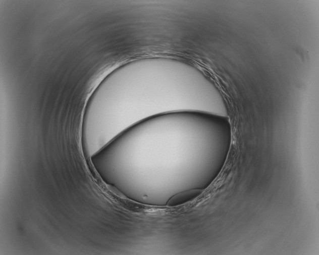 X0000114570052200910191042