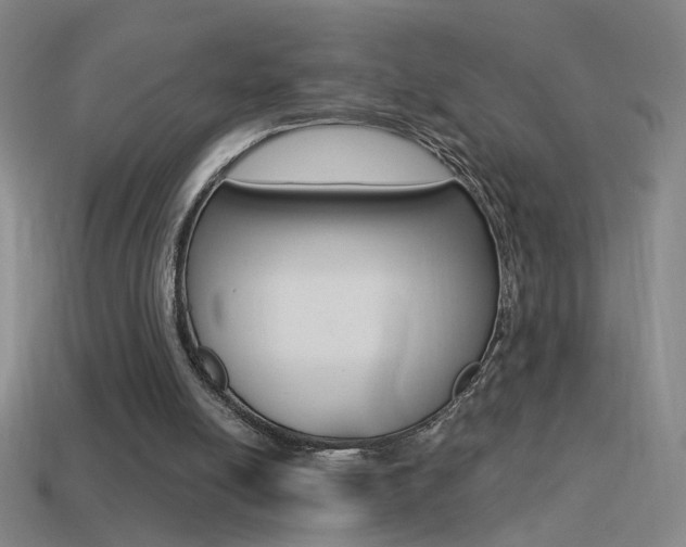 X0000114570054200910191042