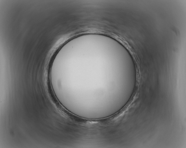 X0000114570055200910191042