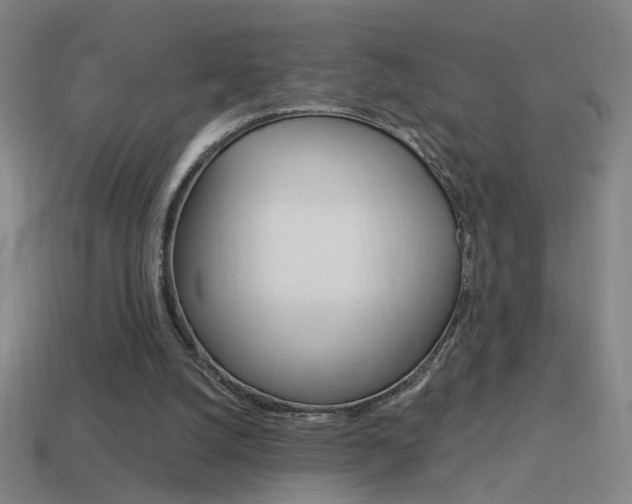 X0000114570056200910191042