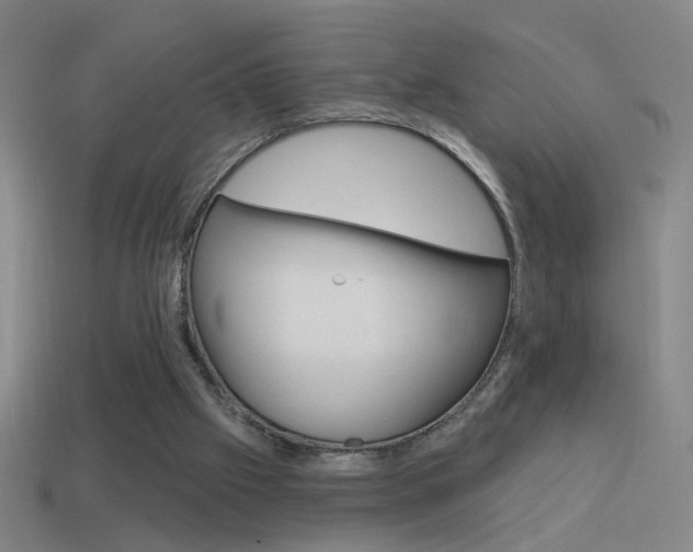X0000114570057200910191042