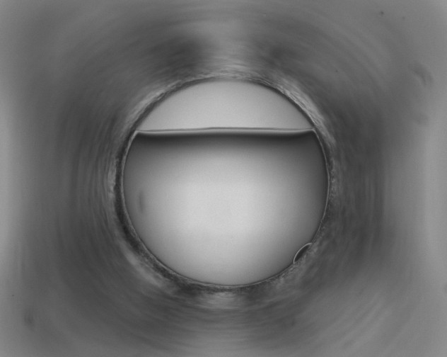 X0000114570058200910191042