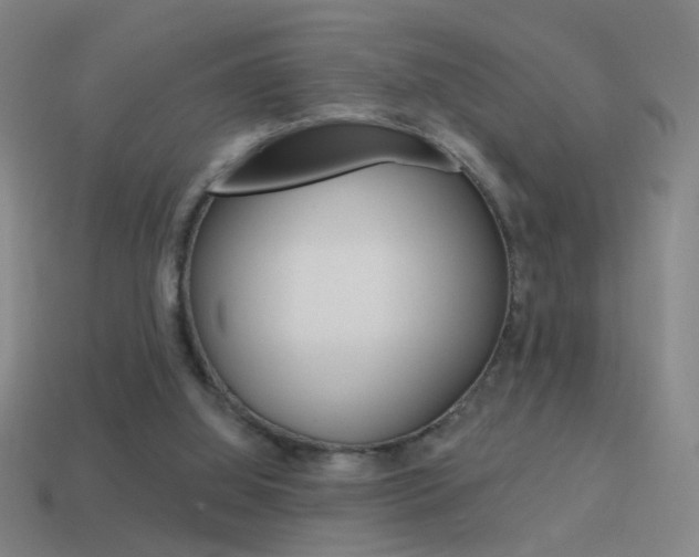 X0000114570060200910191042