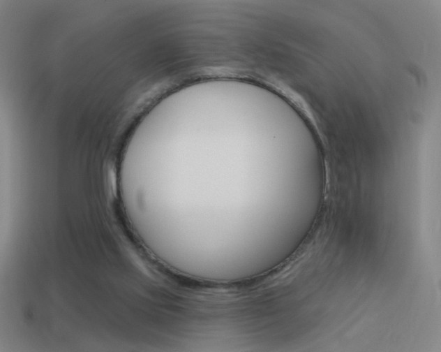 X0000114570061200910191042