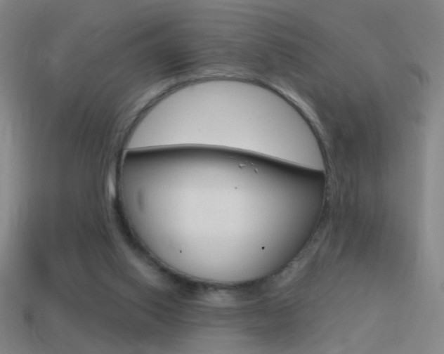X0000114570062200910191042