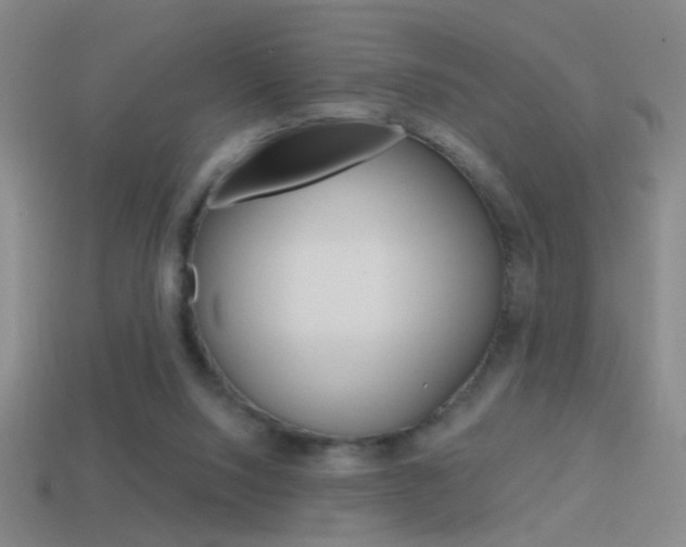 X0000114570064200910191042