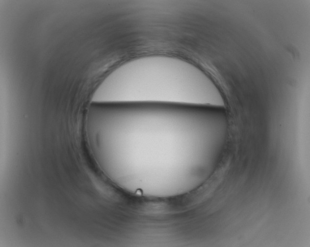 X0000114570066200910191042