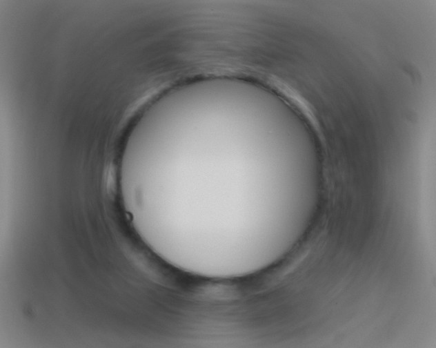 X0000114570067200910191042