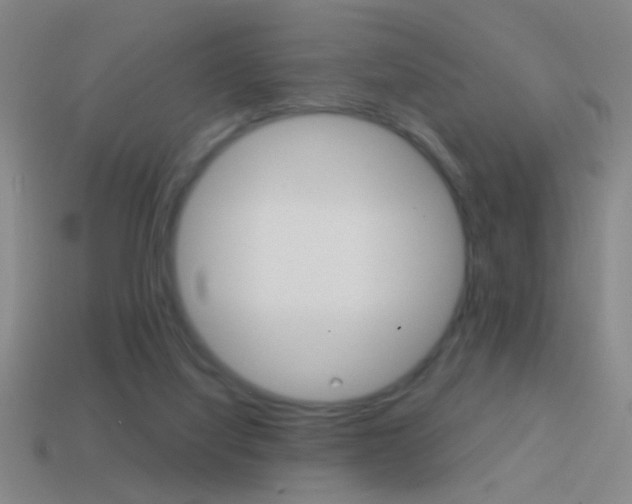 X0000114570068200910191042