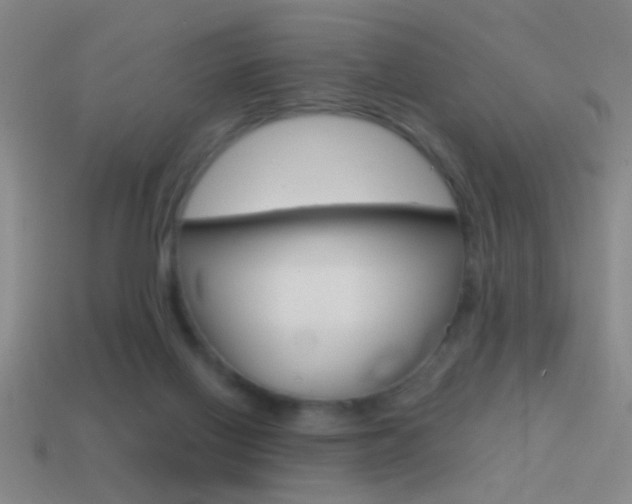 X0000114570070200910191042