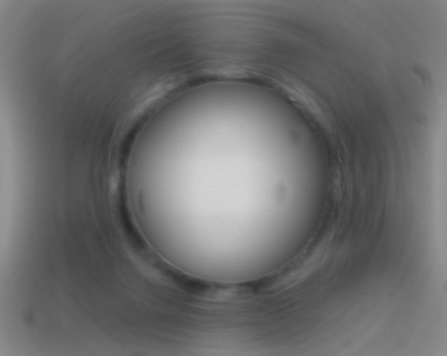 X0000114570072200910191042