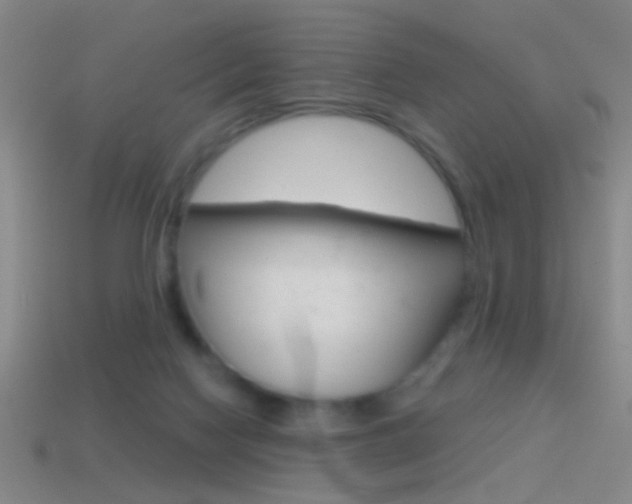 X0000114570074200910191042