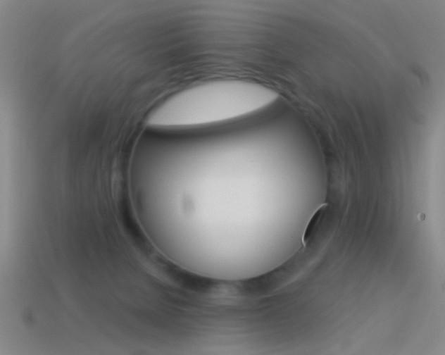X0000114570080200910191042