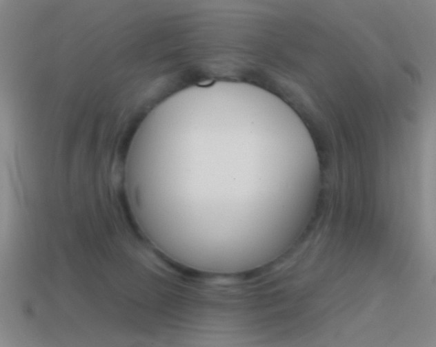 X0000114570081200910191042