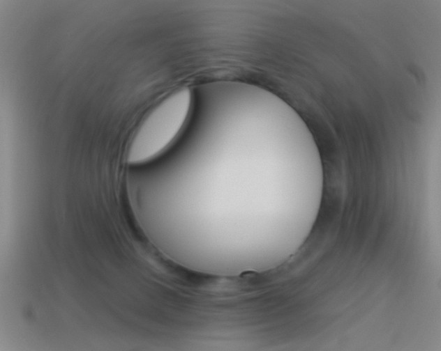 X0000114570082200910191042