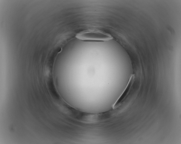X0000114570084200910191042