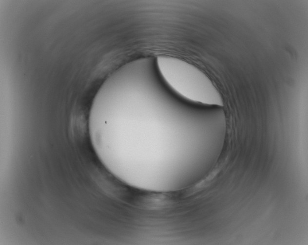 X0000114570086200910191042