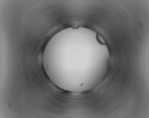 X0000114570093200910191042