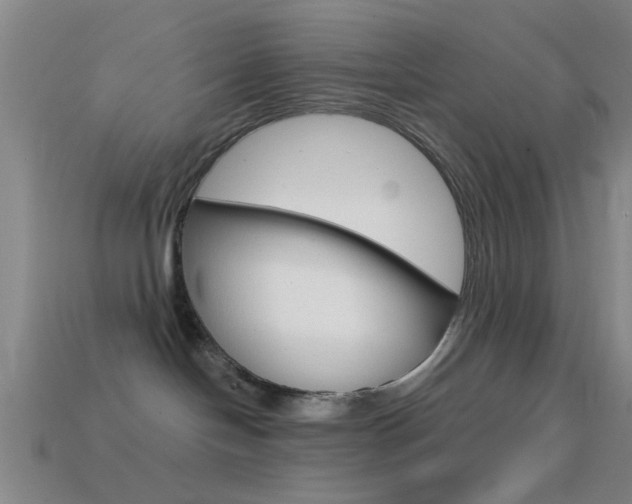 X0000114570094200910191042