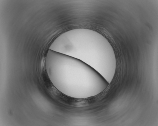 X0000114570095200910191043