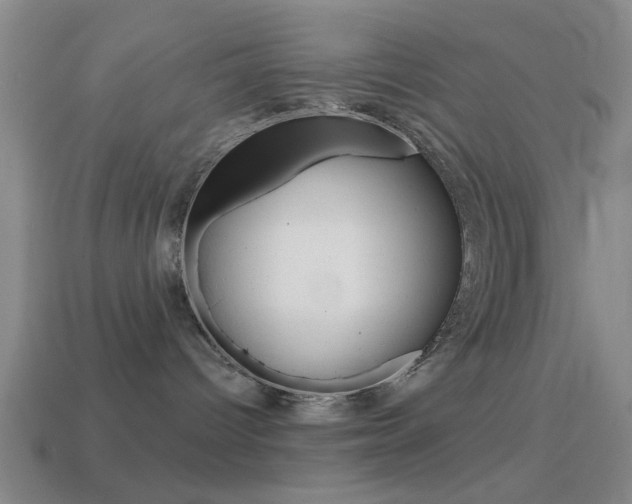 X0000114570096200910191043