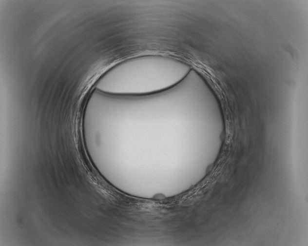 X0000114570098200910191042