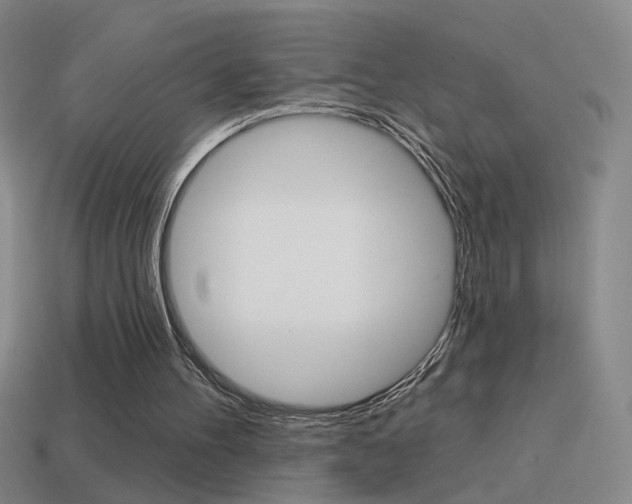 X0000114570100200910191042
