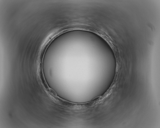 X0000114570101200910191042