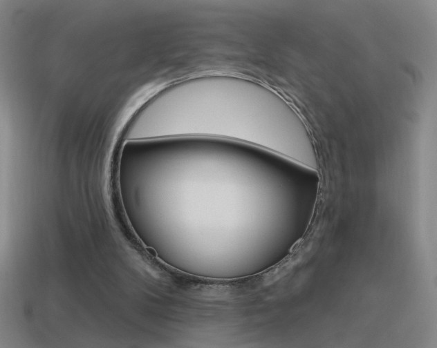 X0000114570104200910191042