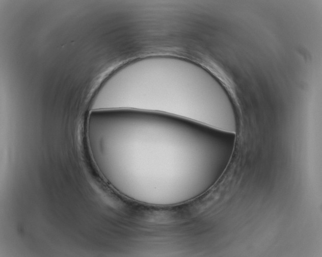 X0000114570107200910191042