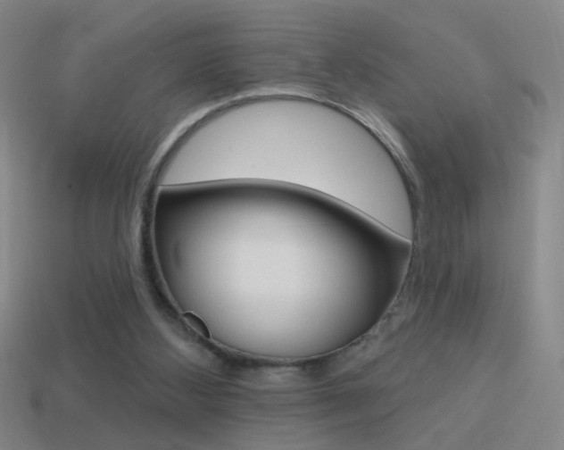 X0000114570108200910191042