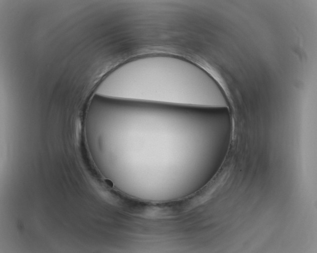 X0000114570109200910191042