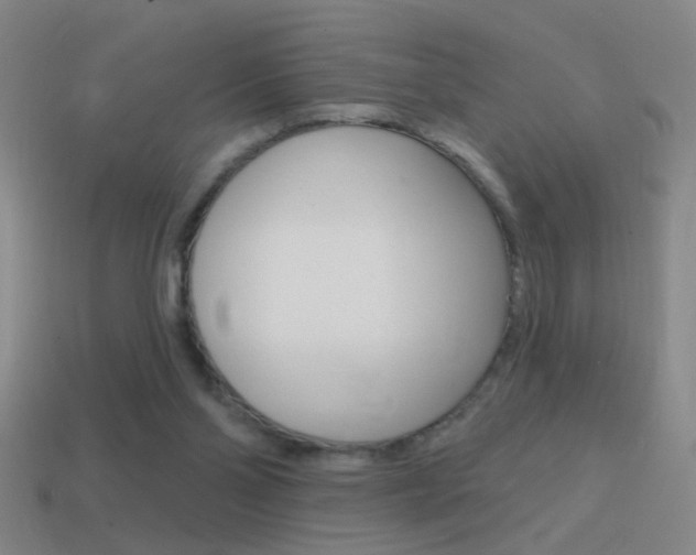 X0000114570110200910191042