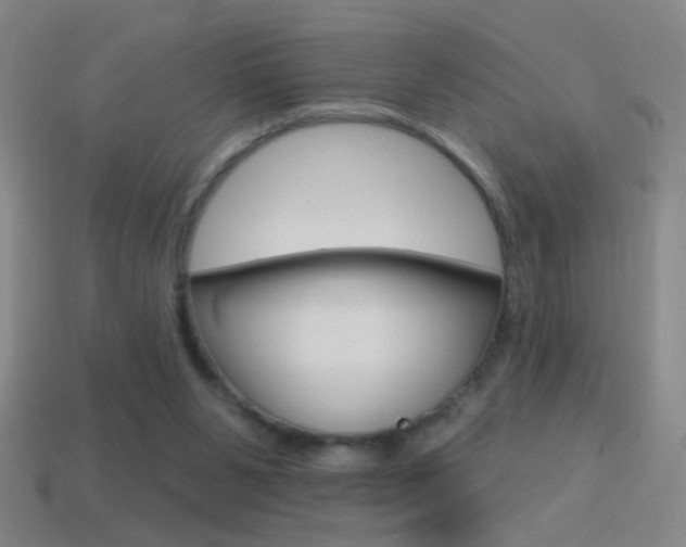 X0000114570111200910191042